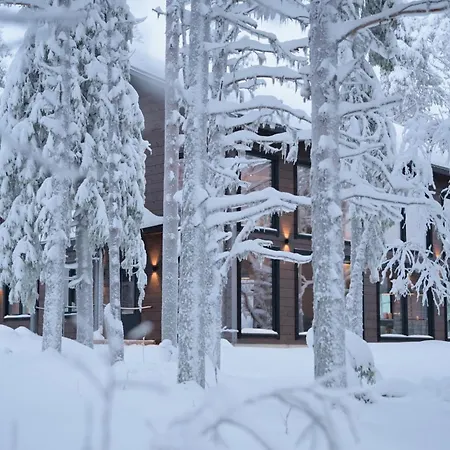 Nord Bear 1 & 2 Incl Sauna, Center 800 M Levi