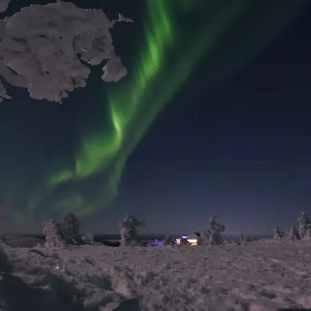 Nord Bear 1 & 2 * Levi