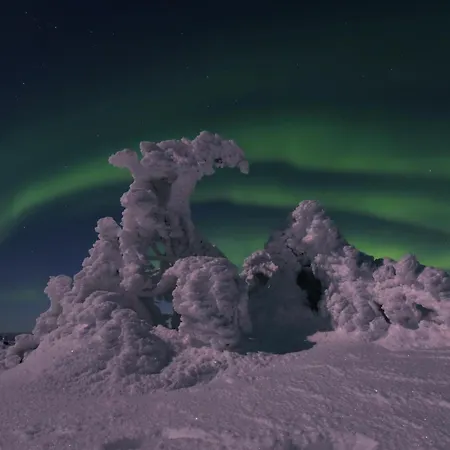 Nord Bear 1 & 2 * 列维