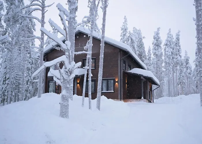 Nord Bear 1 & 2 * Levi