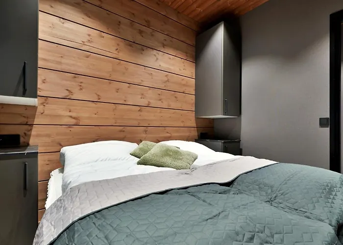 别墅 Nord Bear 1 & 2 列维