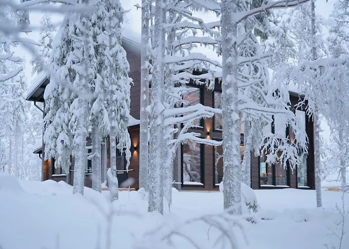 Nord Bear 1 & 2 列维