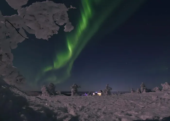 Nord Bear 1 & 2 * Levi