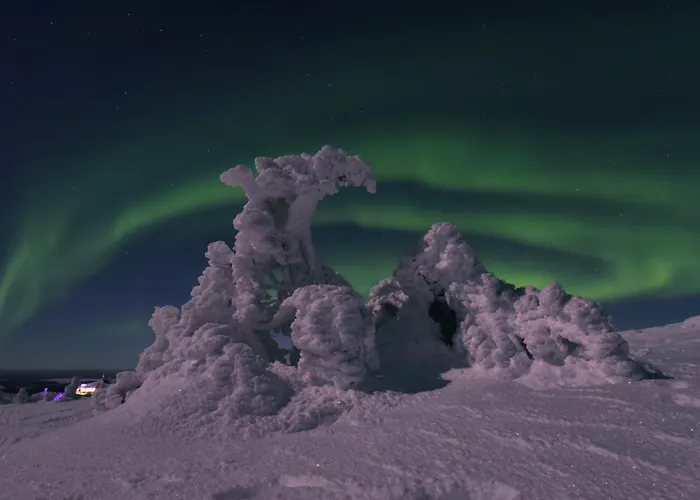 Nord Bear 1 & 2 * 列维